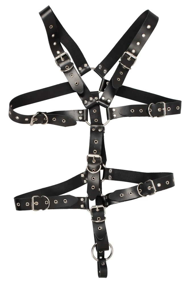 Harness aus schwarzen, nietenbesetzten Lederriemen und stählernen Verbindungsringen. Mehrfach mit Schnallenverschlüssen verstellbar.