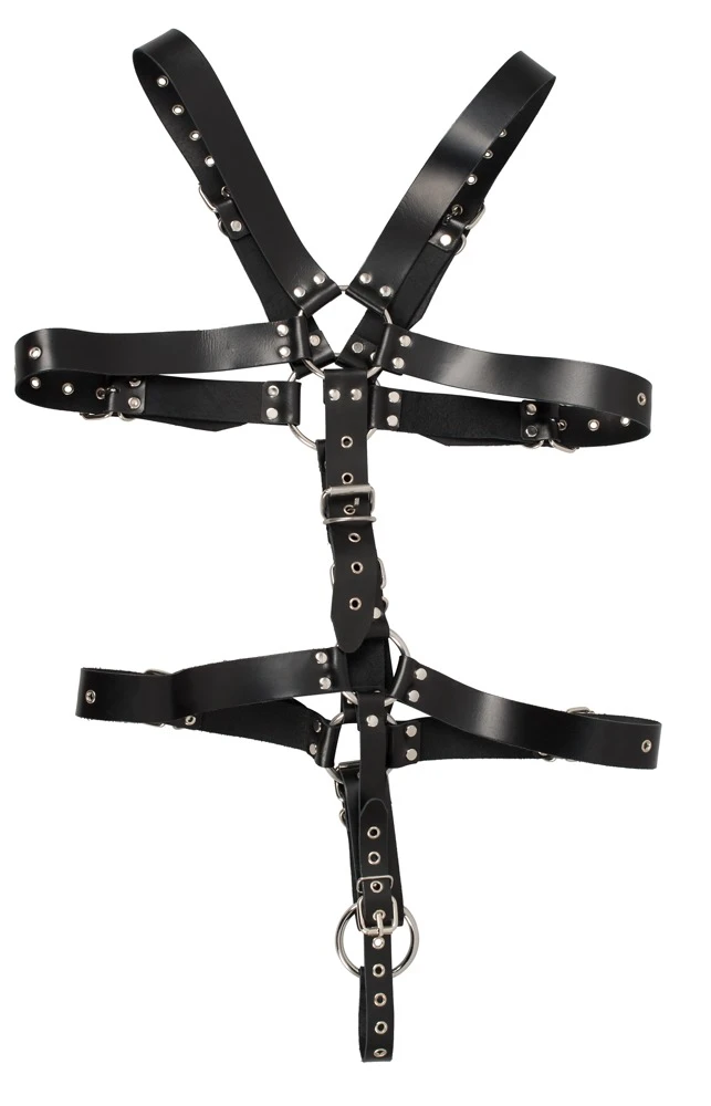Harness aus schwarzen, nietenbesetzten Lederriemen und stählernen Verbindungsringen. Mehrfach mit Schnallenverschlüssen verstellbar.