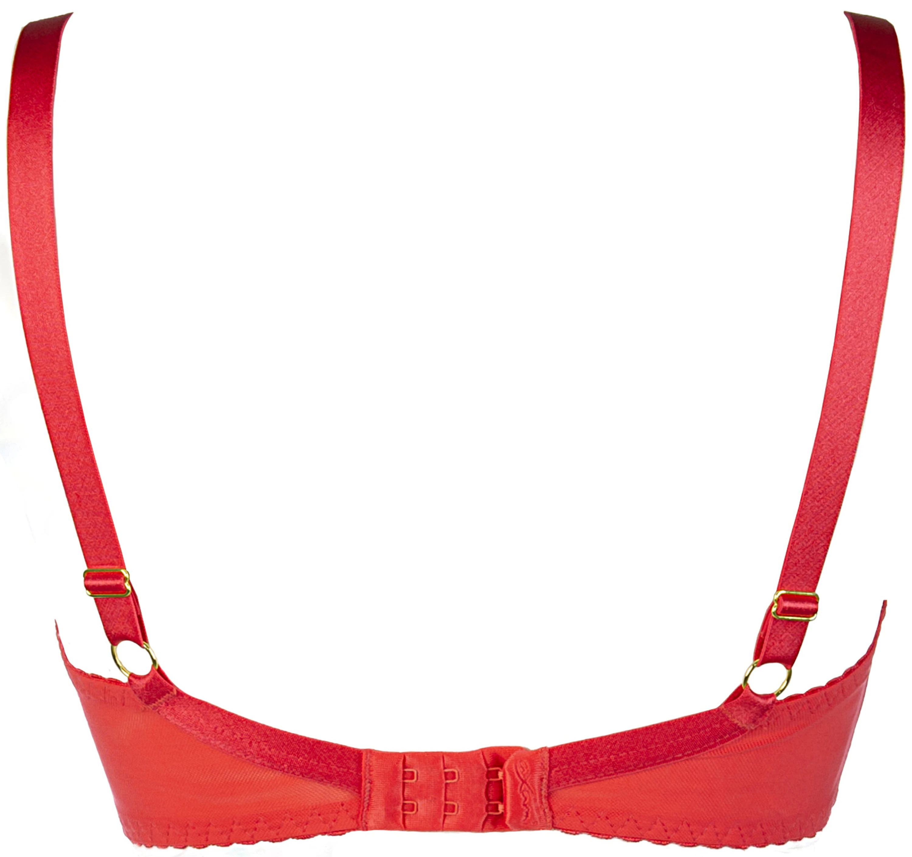 AXAMI V-12011 Sexy Dessous Push-up BH Balconette Koralle Reizwäsche Erotisch verstellbar gepolstert luxuriös schimmernd