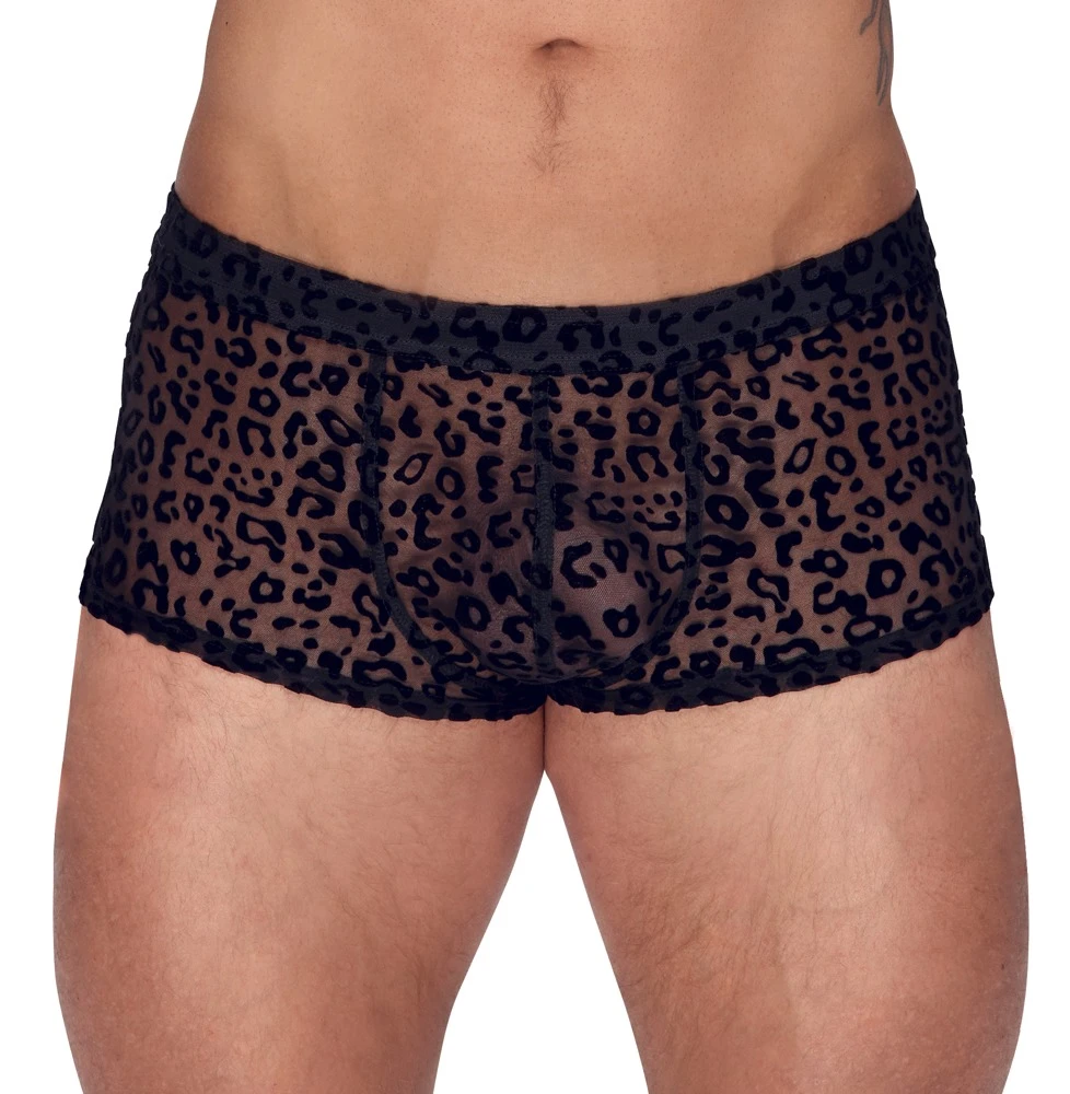 Betonende Pants von Noir aus feinem transparentem Powernet mit edlem Samtflockprint im Leo-Look.