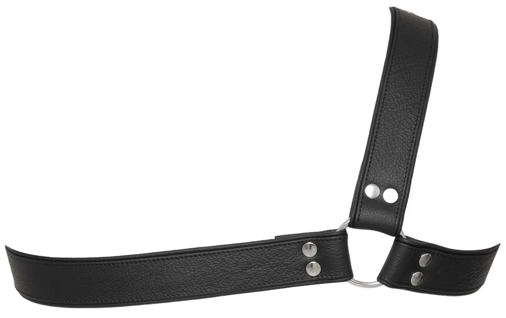 Leder Herren Harness ZADO Leder Brustharness einseitig schwarz mit Ringen Druckknöpfen markantem Look weich doppellagig verstellbar für starken Style
