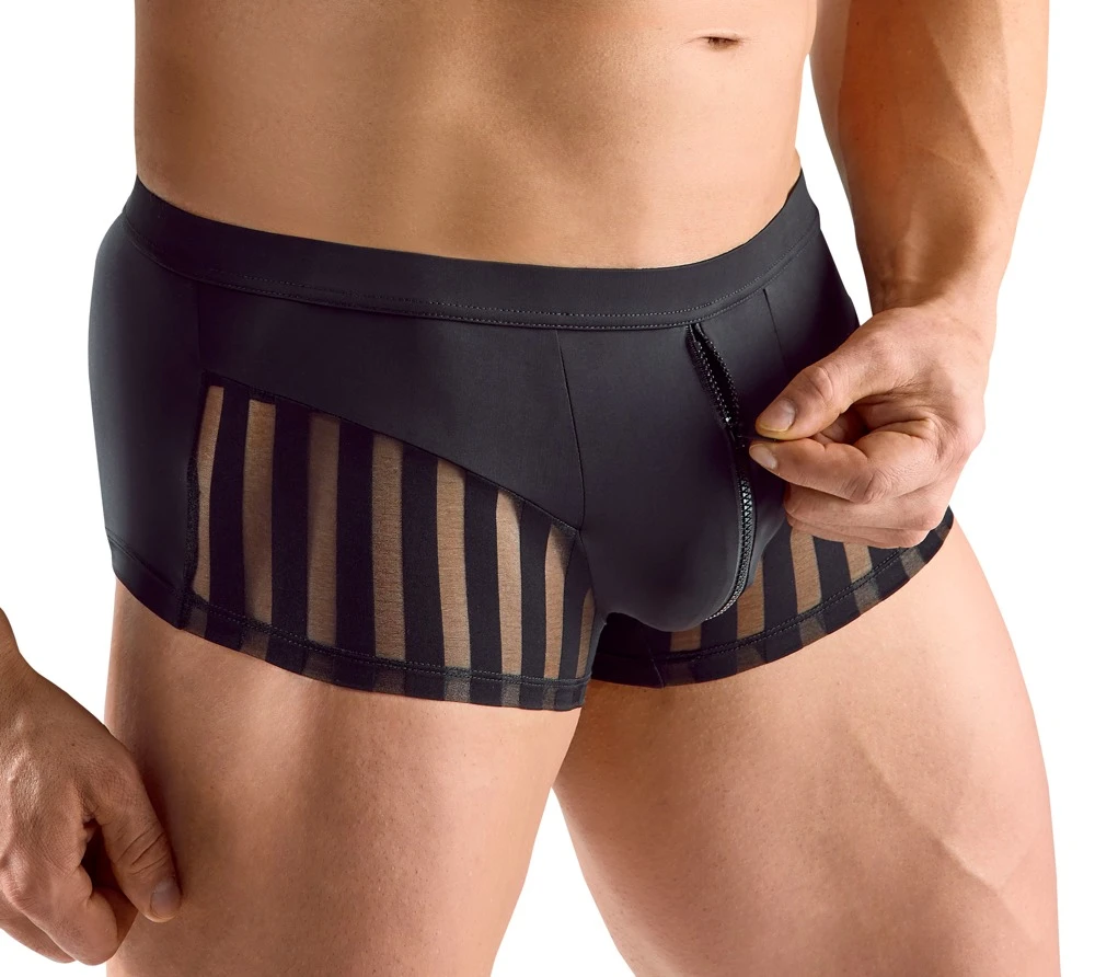 Herren Pants, Elegante Pants aus weicher Mikrofaser mit transparenten Streifen und diskretem Reißverschluss für optimalen Tragekomfort
