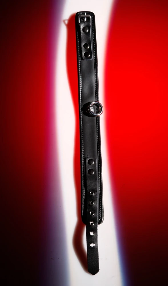 4 cm breite, hochwertig gearbeitete Halsfessel aus Leder von Wild Thing by ZADO mit dekorativem Ring an kleinem Steg.